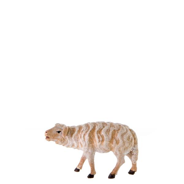 Schaf stehend Schaf stehend