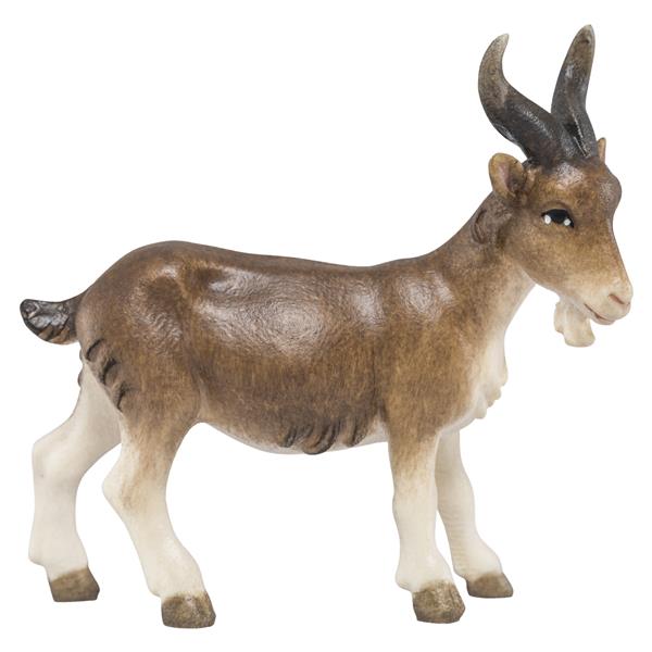 Ziegenbock Ziegenbock