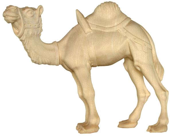 Kamel