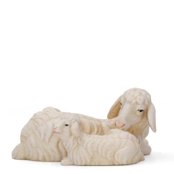 Schaf liegend mit Lamm Schaf liegend mit Lamm