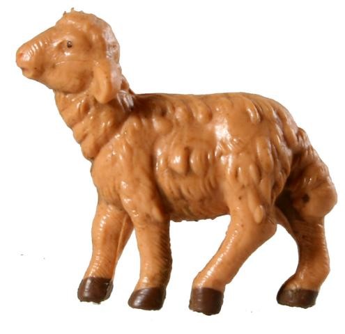 Schaf stehend
