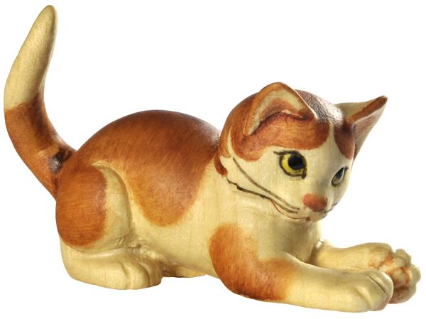 Katze Pfoten vorne rot-braun