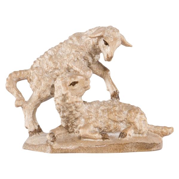 Lammgruppe Lammgruppe