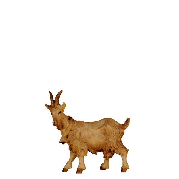 Ziege stehend mit Glocke