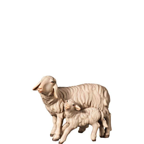 Schaf und Lamm stehend Schaf und Lamm stehend