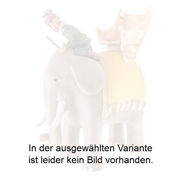 Elefant mit Reiter