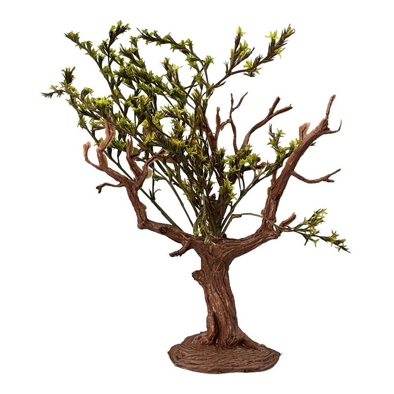 Baum mit grünen Blättern