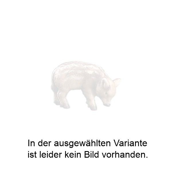 Schnuppernder Frischling Schnuppernder Frischling