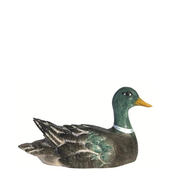 Ente schwimmend - Kopf rechts grün