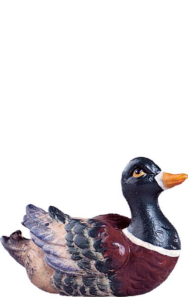 Ente grün