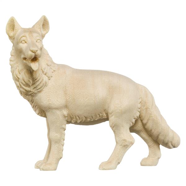 Schäferhund Schäferhund