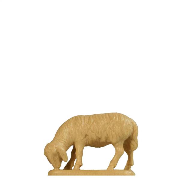 Abweidendes Schaf
