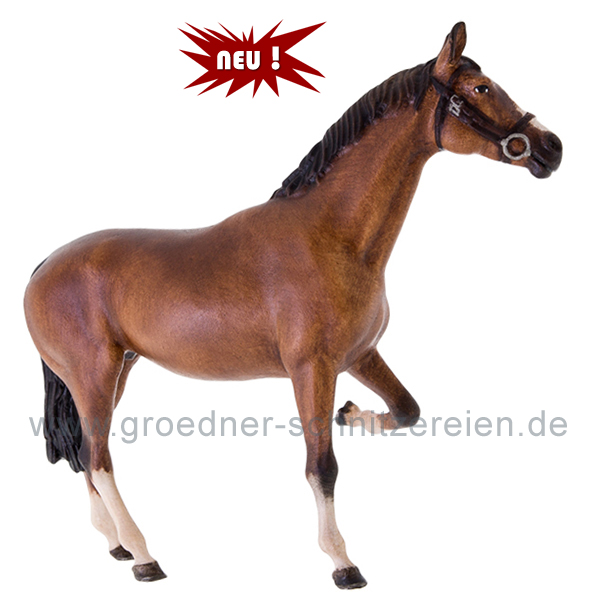 Pferd beim beschlagen Pferd beim beschlagen