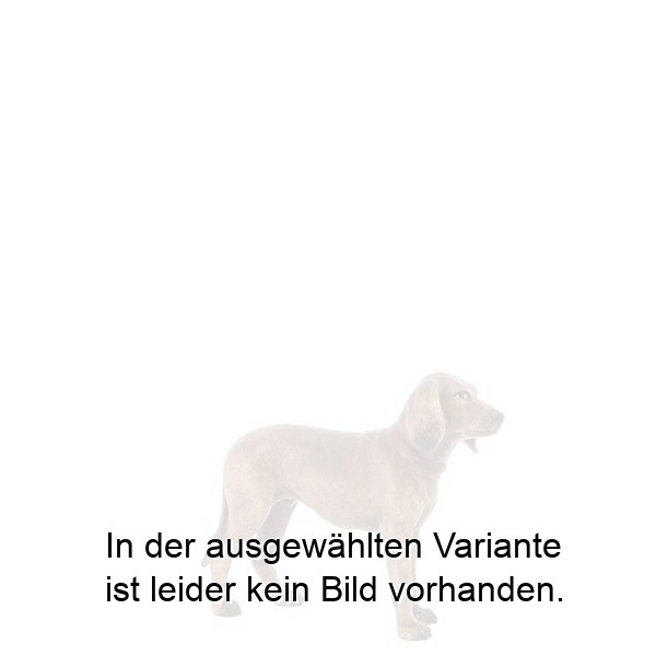 Jagdhund Jagdhund