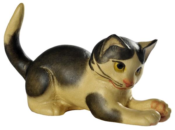 Katze Pfoten vorne schwarz-weiß