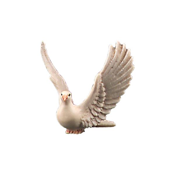 Taube mit Flügel nach oben