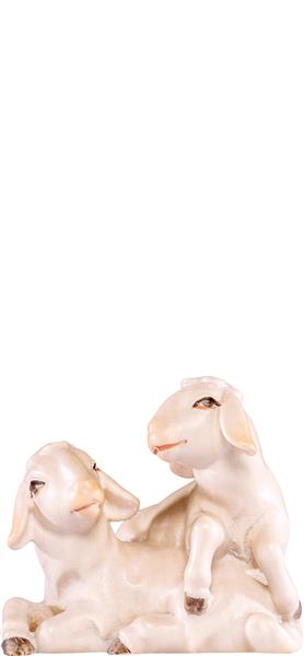 Lammgruppe Artis Lammgruppe Artis