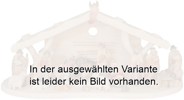 Krippenstall mit Morgenstern 21 Figuren Krippenstall mit Morgenstern 21 Figuren