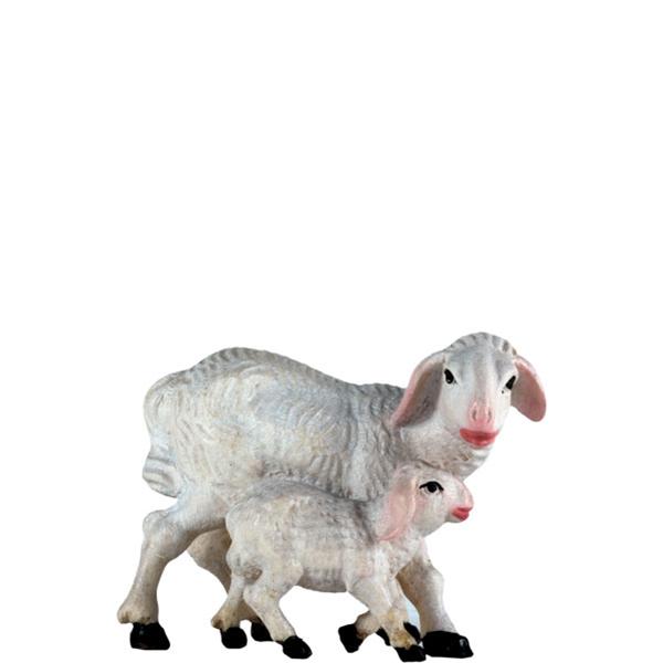 Schafgruppe