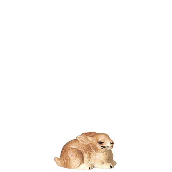 Hase