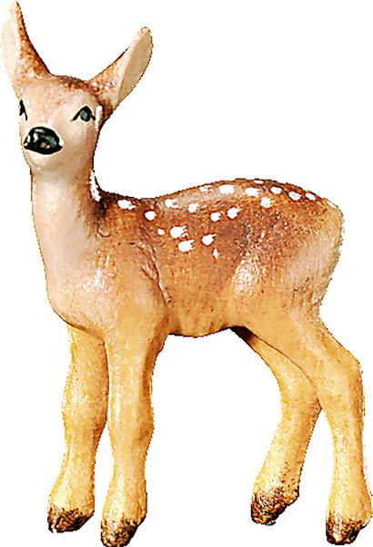 Rehkitz stehend Rehkitz stehend