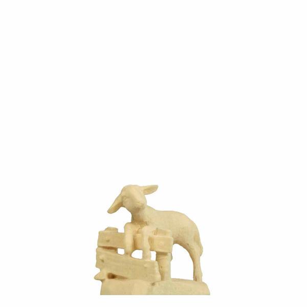 Lamm am Zaun Lamm am Zaun