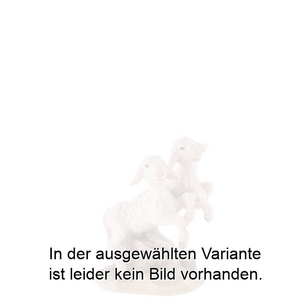 Springendes Lämmerpaar Springendes Lämmerpaar