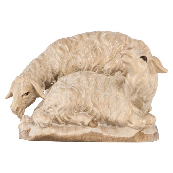 Schafgruppe Schafgruppe