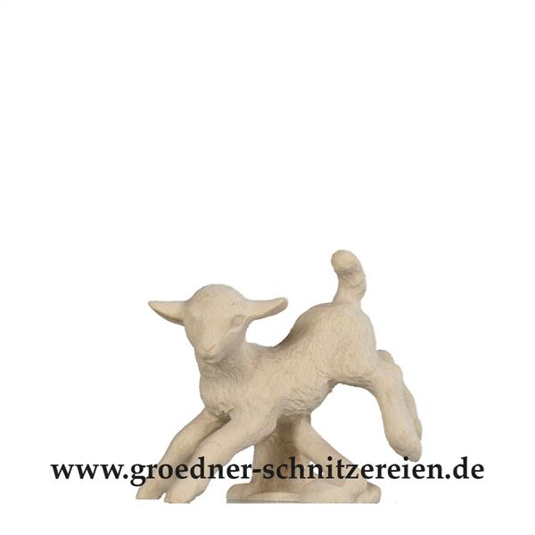 Lamm über Zaun Lamm über Zaun