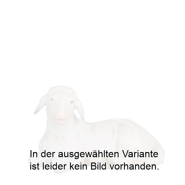 Schaf liegend Schaf liegend