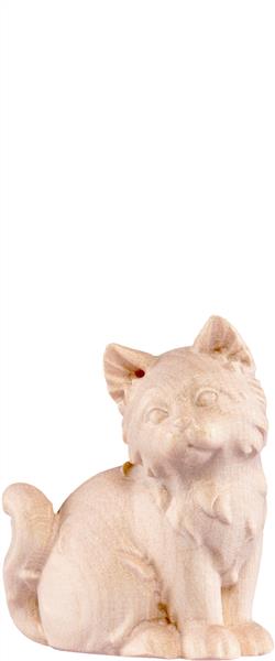 Katze Artis braun