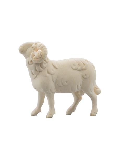 LI Widder weiß LI Widder weiß