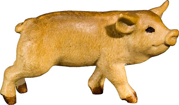 Ferkel Ferkel