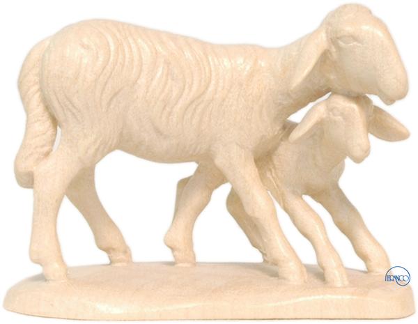 Schafgruppe stehend