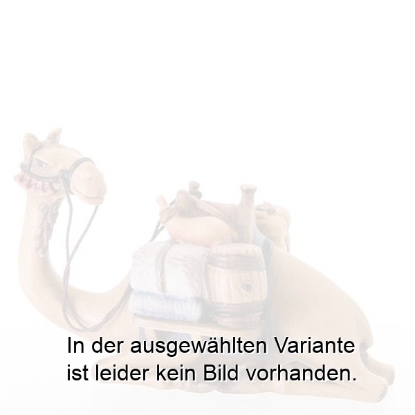 Kamel liegend Kamel liegend