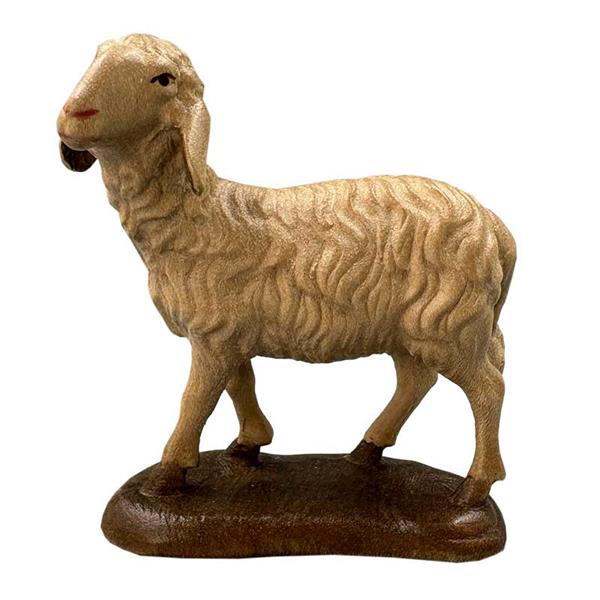 Schaf stehend Schaf stehend