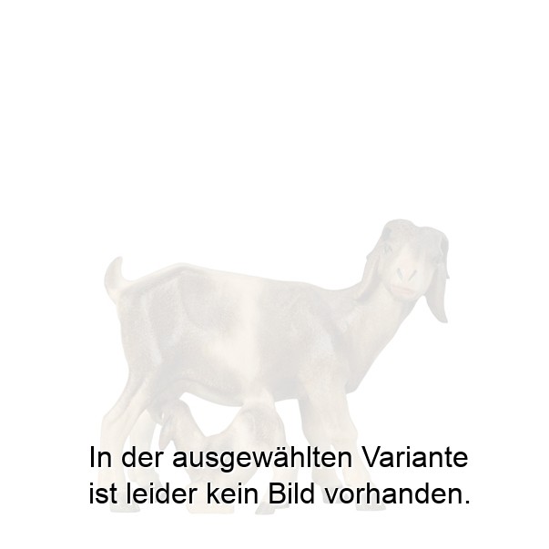 Ziegenmutter mit Zicklein