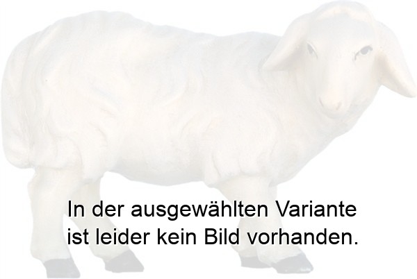 Schaf schauend Schaf schauend