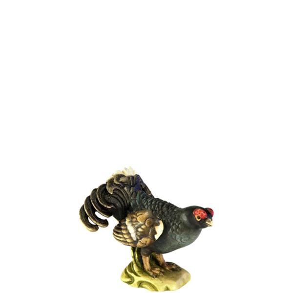 Birkhahn