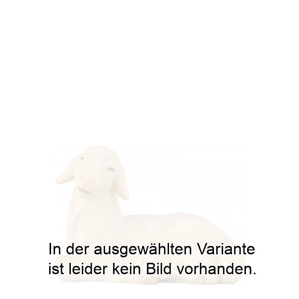 Schaf liegend