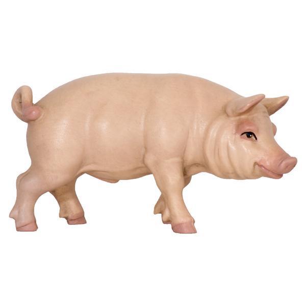 Schwein Schwein