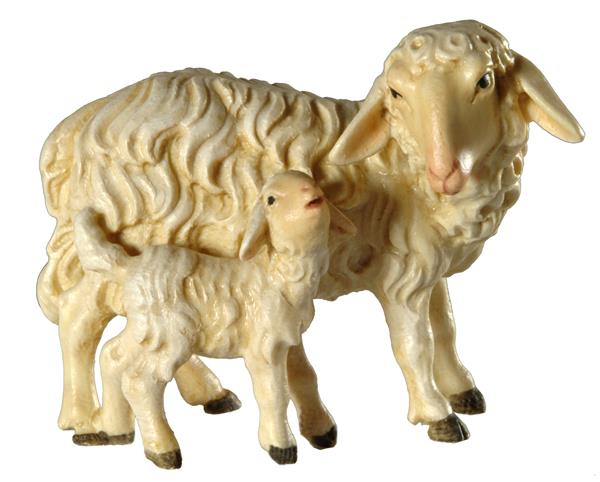 Schaf stehend mit Lamm