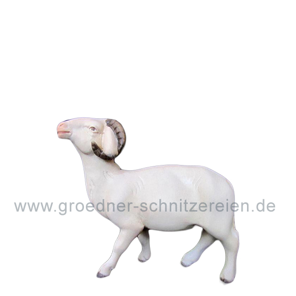 Widder modern Widder modern