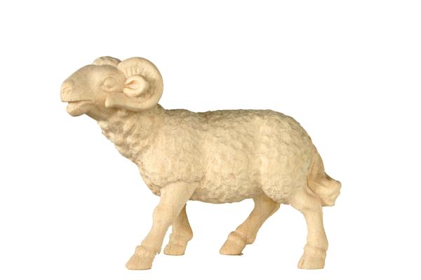 Schafbock