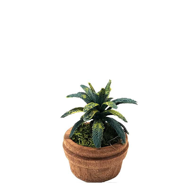 Eimer mit Palme
