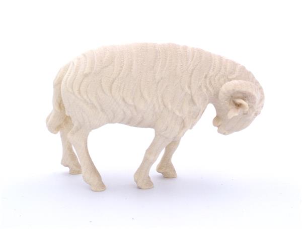 Schafbock weiß Schafbock weiß