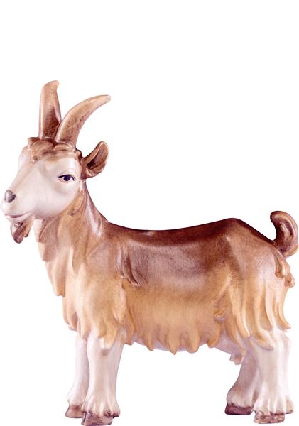 Ziege Artis Ziege Artis