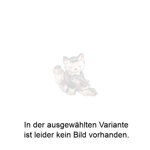 Kätzchen, das sich den Schwanz leckt Kätzchen, das sich den Schwanz leckt