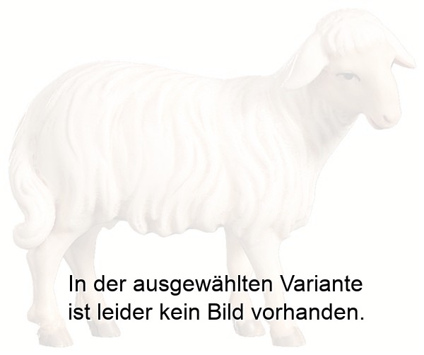 Schaf stehend orientalisch Schaf stehend orientalisch