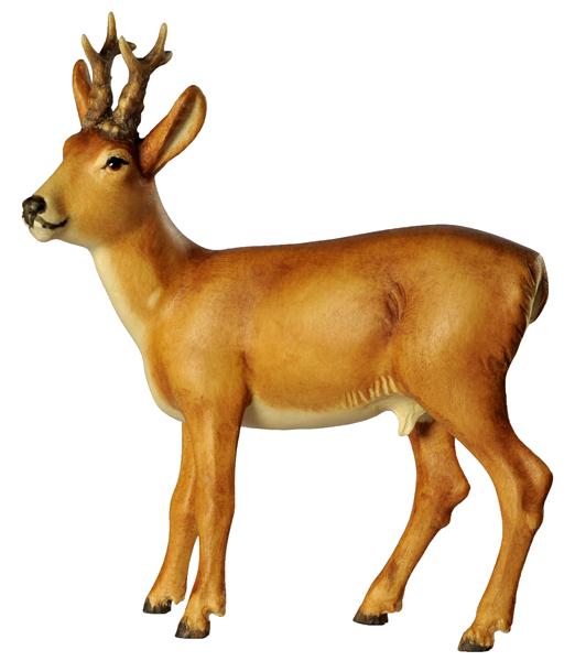 Rehbock